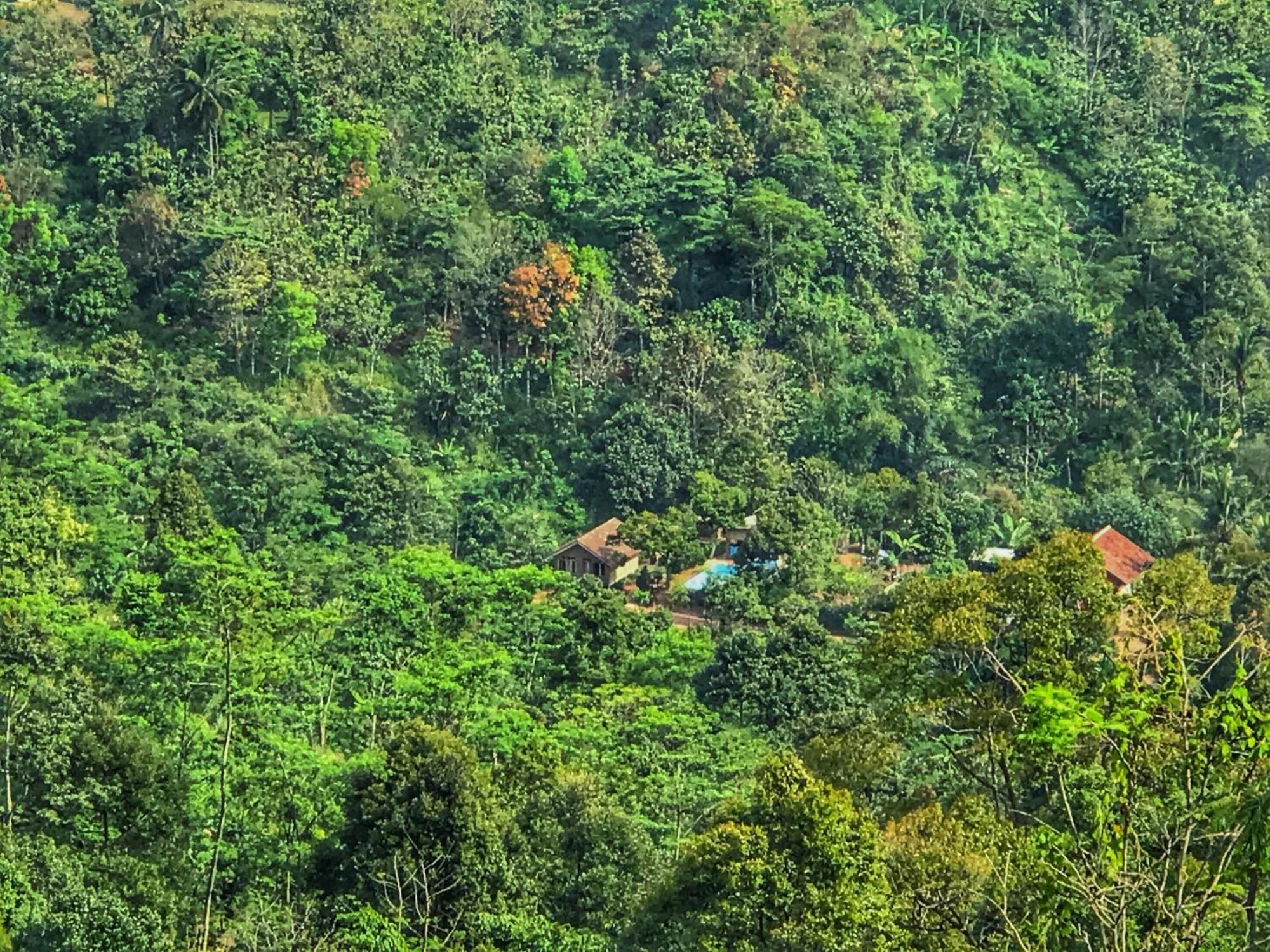 Farmstay Manangel Sindanglaka Exterior photo